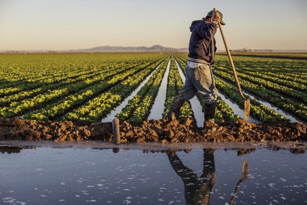 Grants Roundup: $35 Million From Walton Fund Supports Colo. and Miss. River Conservation