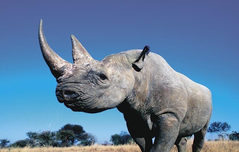 Google Grants Aim to Prove That Intelligent Use of Technology Can Be a Game Changer