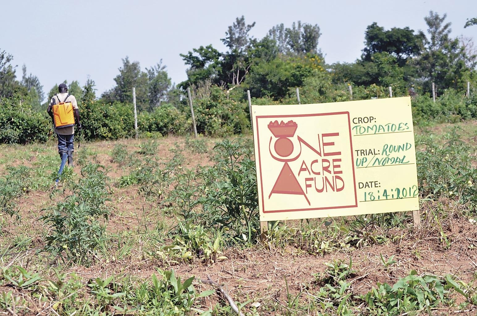 A Nonprofit Places a Bet on Testing a Bevy of New Approaches