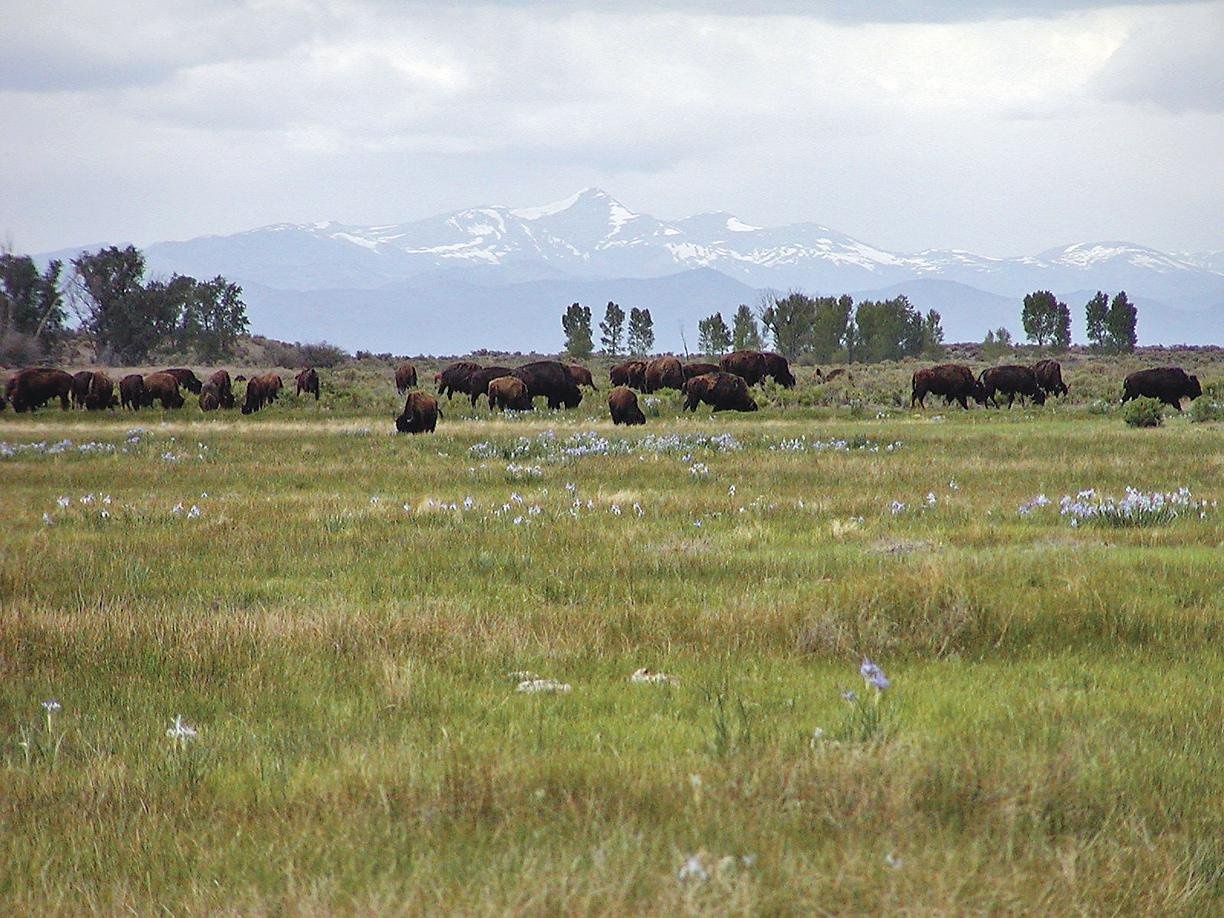 Conservation Charity Offers Investment Option to Donors