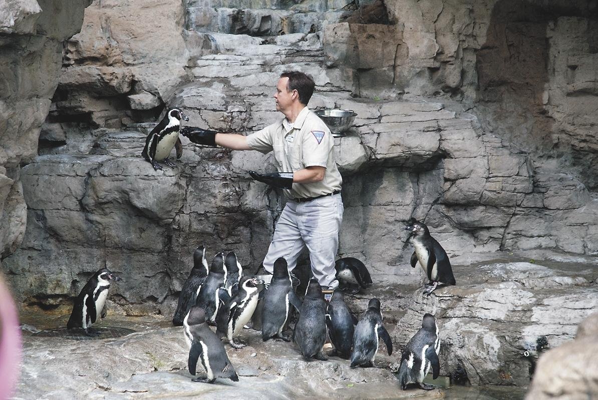 Open Communication Holds the Key to Making a Zoo’s Workers Feel Valued