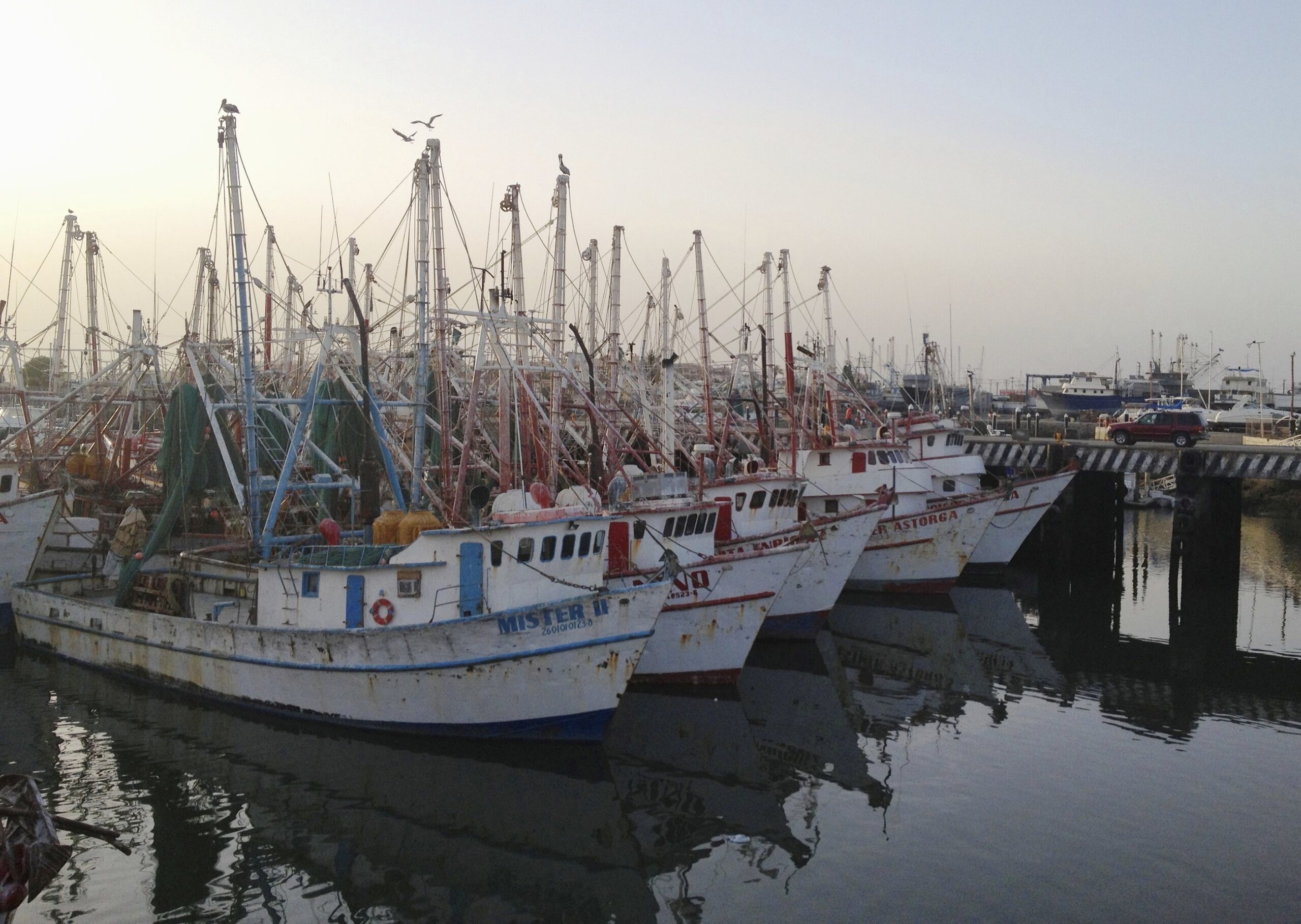 Grants Roundup: Facebook Awards $15 Million for Coding Education