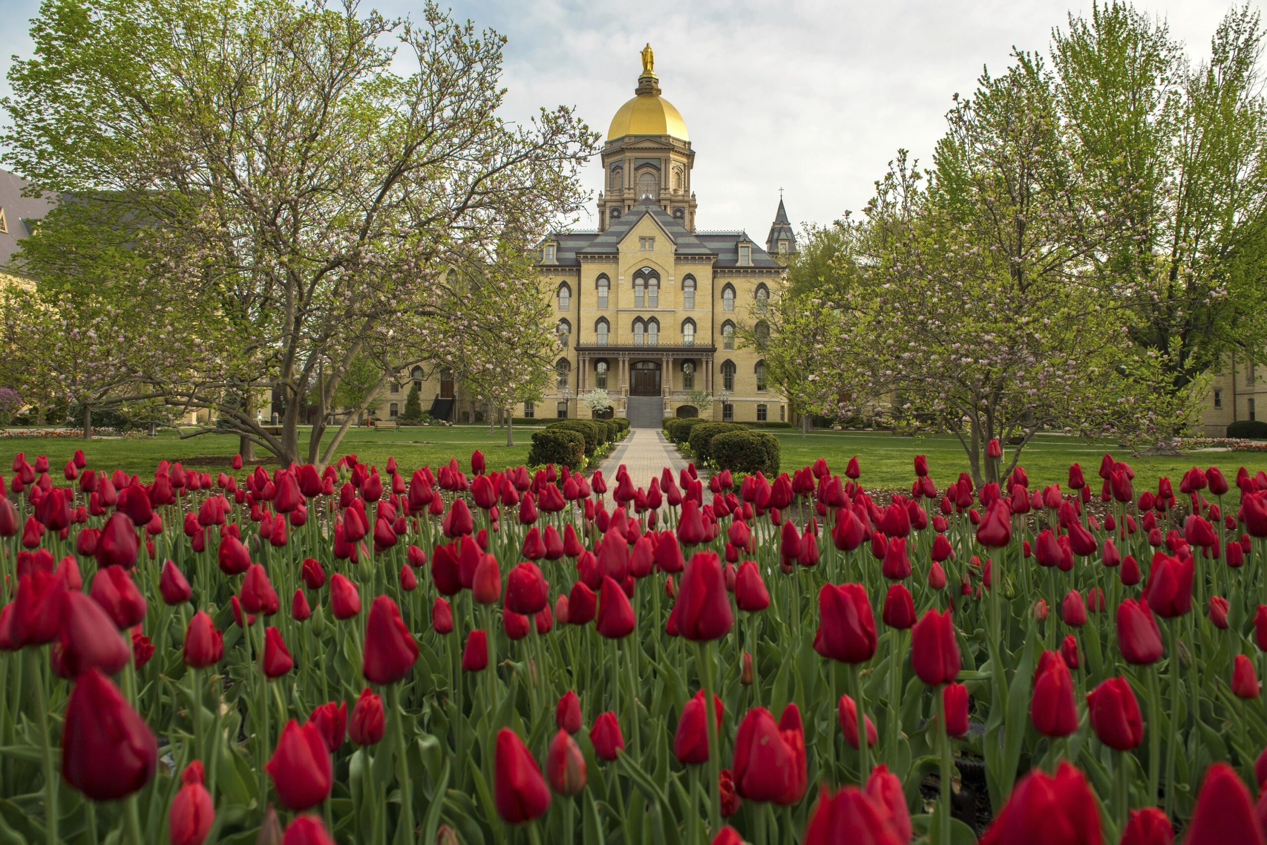 Lilly Endowment Awards $42 Million to Notre Dame for Technology Network (Grants Roundup)