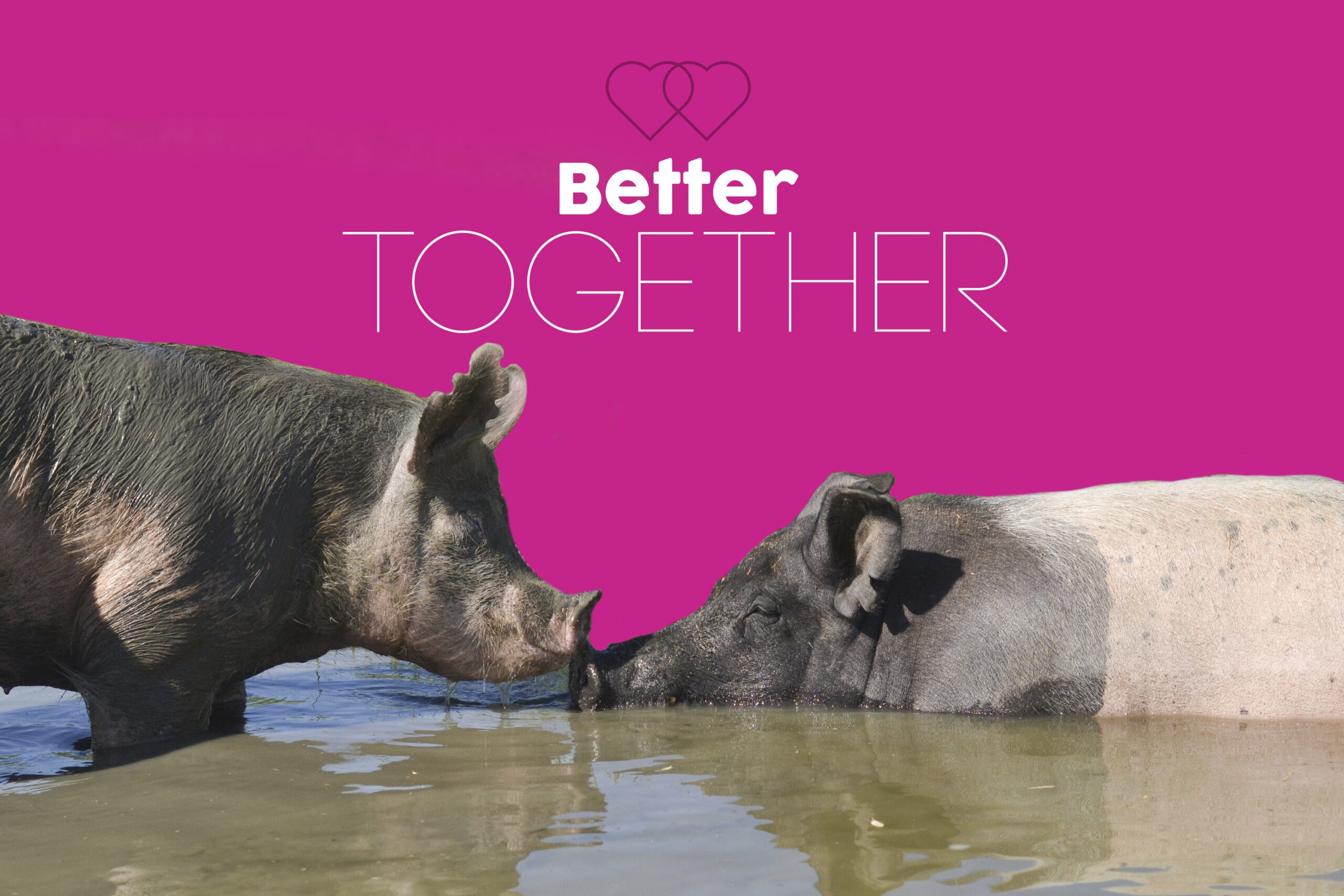 How to Run a Fundraising Campaign for Valentine’s Day and Other ‘Hallmark’ Holidays