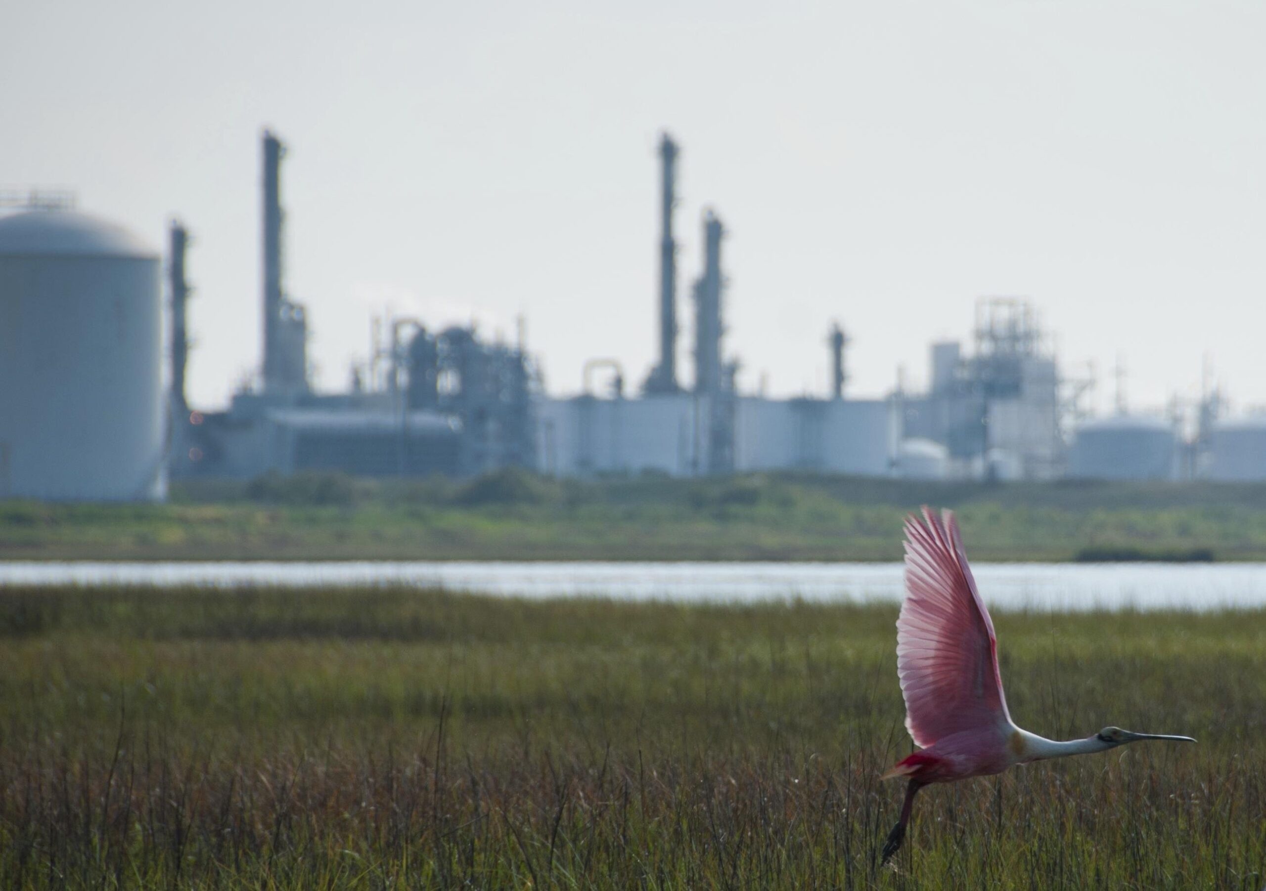 Collaboration Can Bring Big Payoffs When It’s Done Right