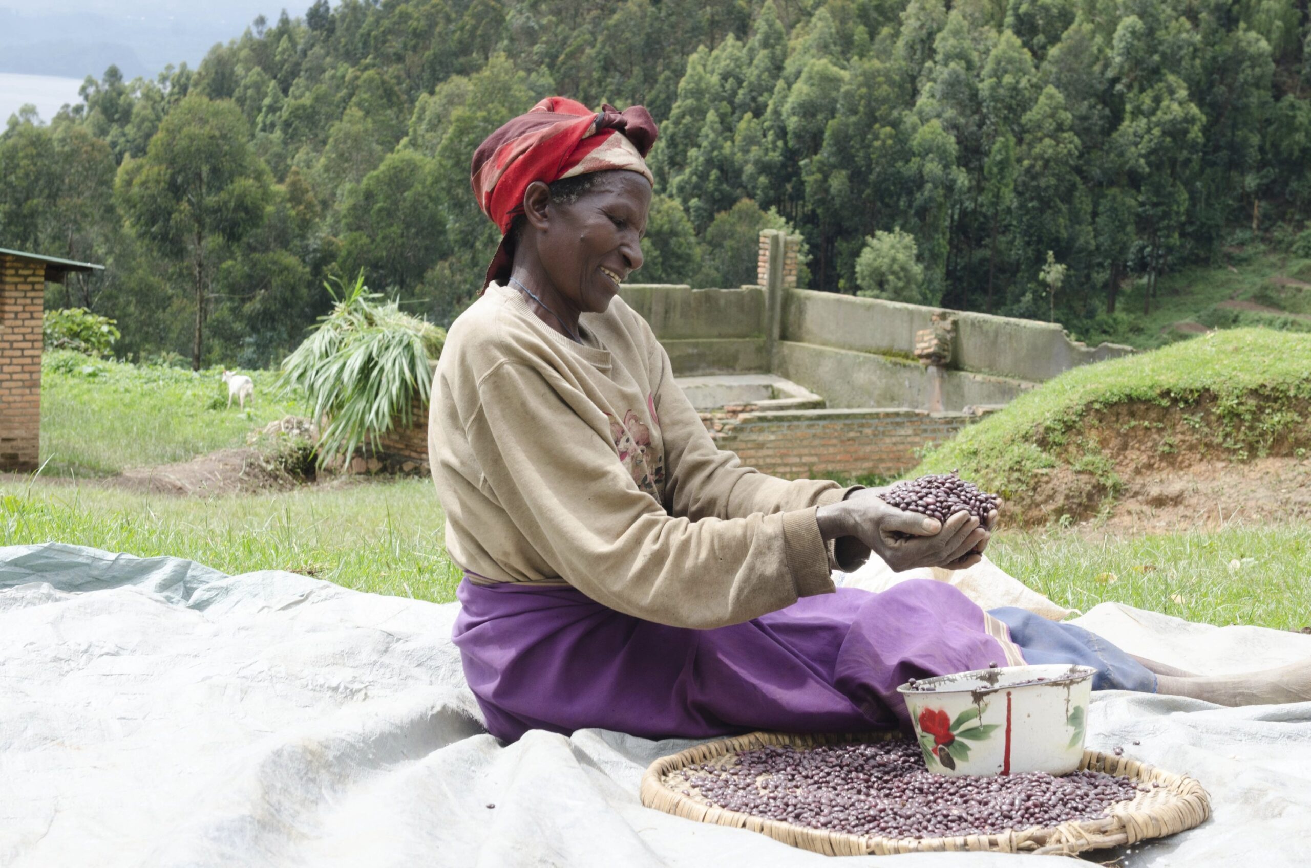 Podcast: $100 Million and $15 Million MacArthur Award Winners Describe Their Plans