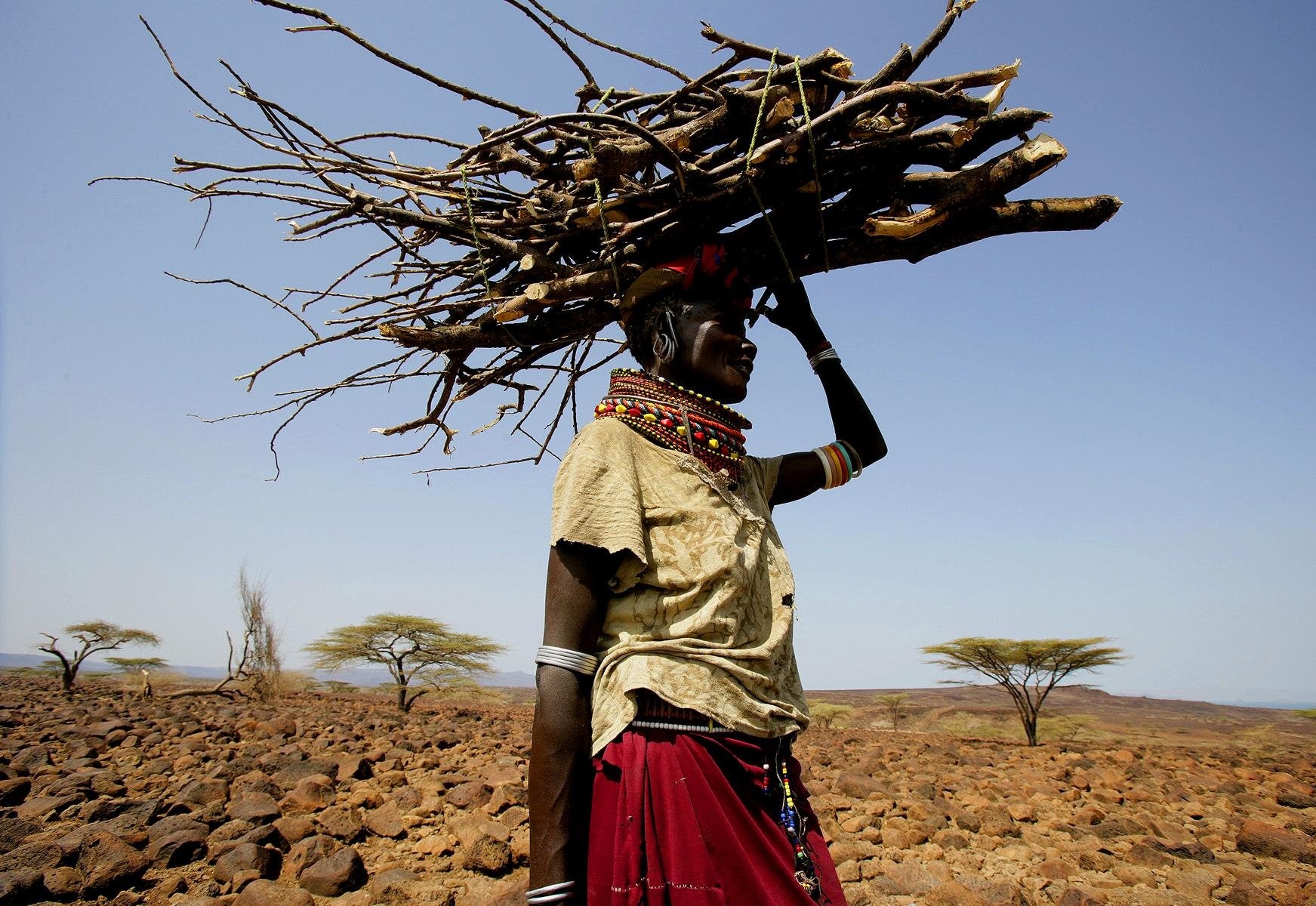 A New Project Seeks to Solve the Need for Household Fuel