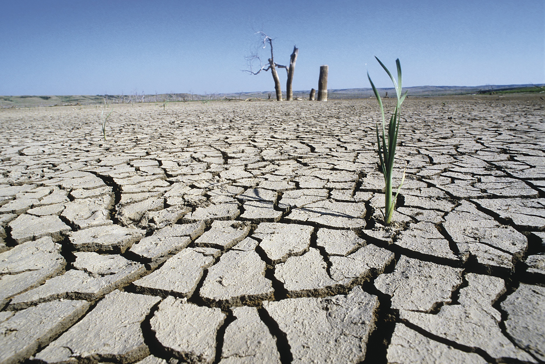 Foundations Are Losing the Fight Against Climate Change