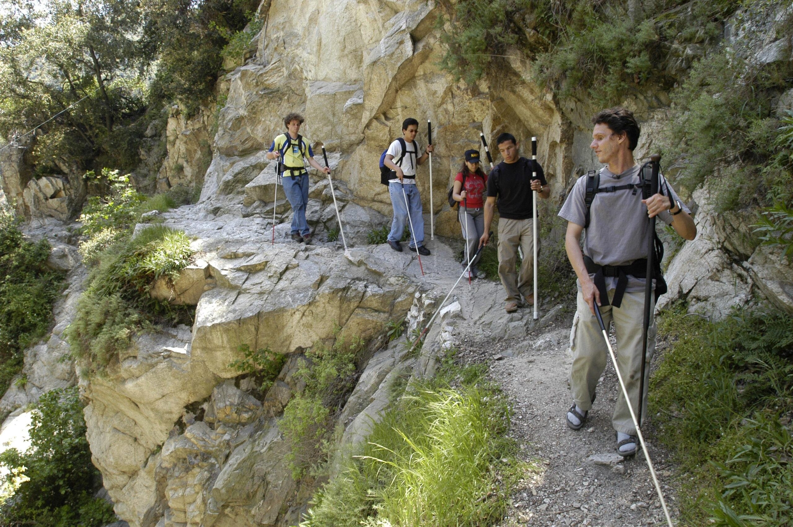 Bat Navigation Inspires Charity’s Method to Aid the Blind