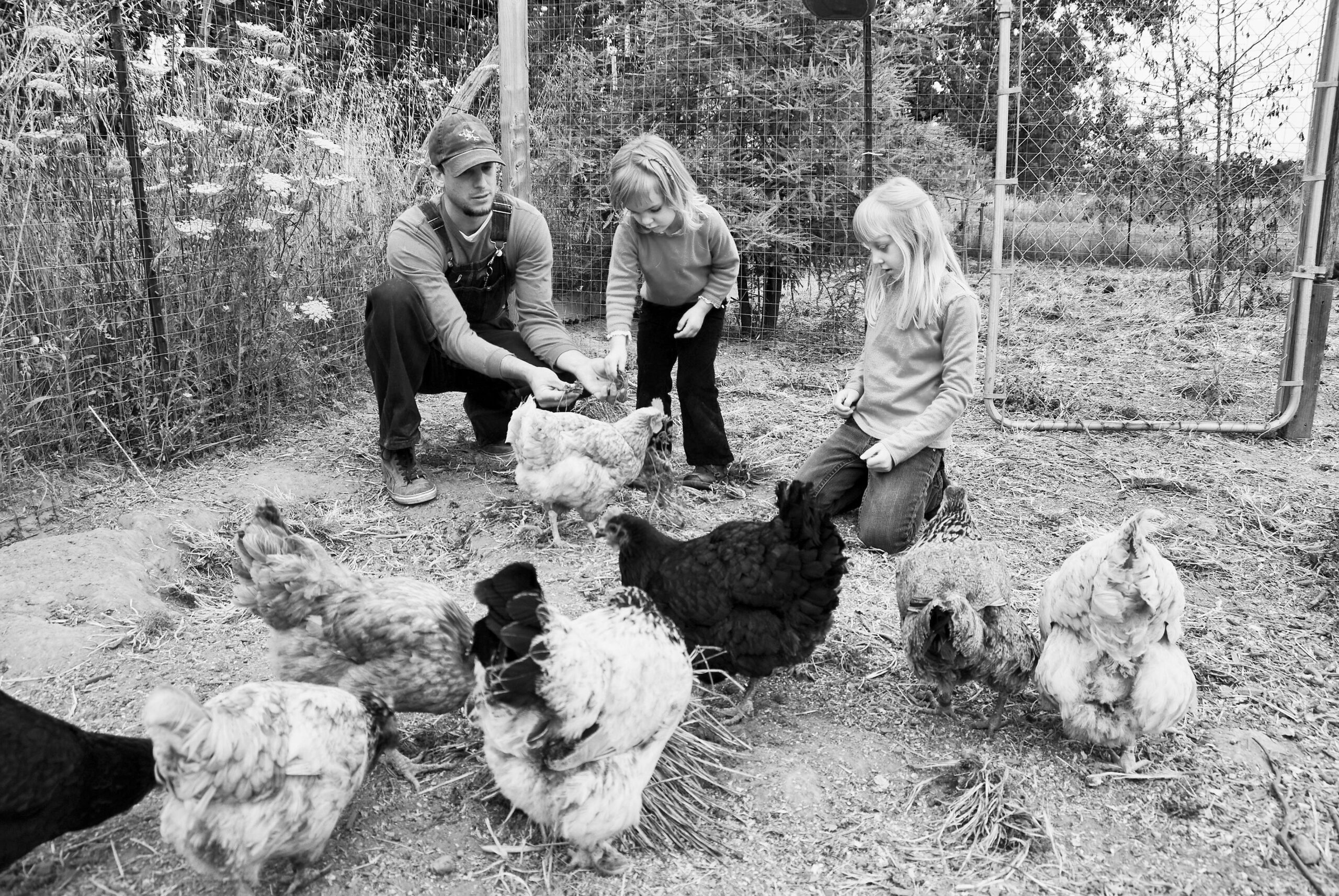 Down on the Farm, Foster Children Learn the Gentle Art of Trust