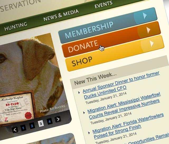 Most Charities Fail at Online Fundraising Basics, Says Study