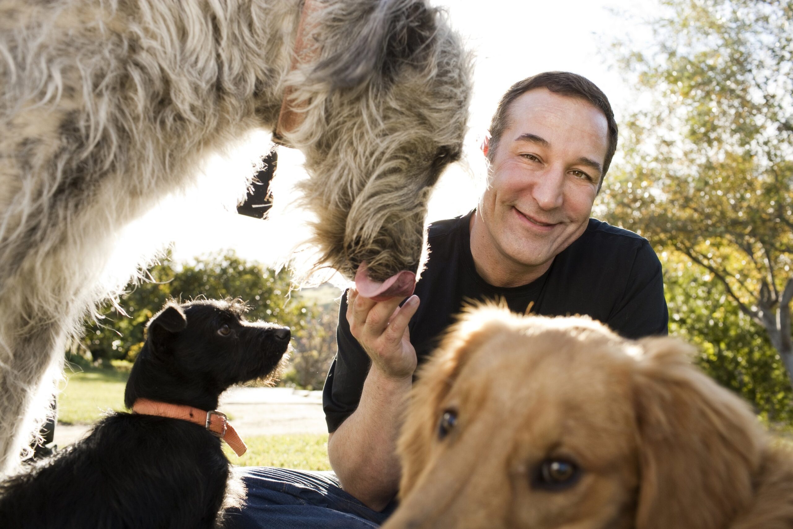 Grants Roundup: Late ‘Simpsons’ Co-Creator’s Fund Debuts With $1 Million PETA Grant