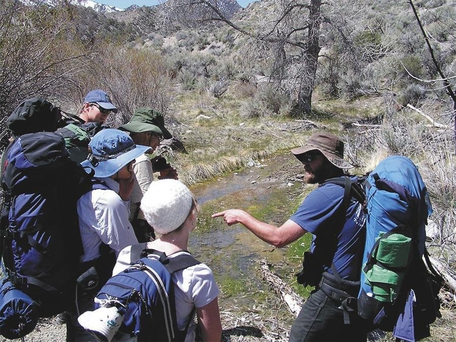 Charity Sees Donations Spike After Abandoning Direct Mail