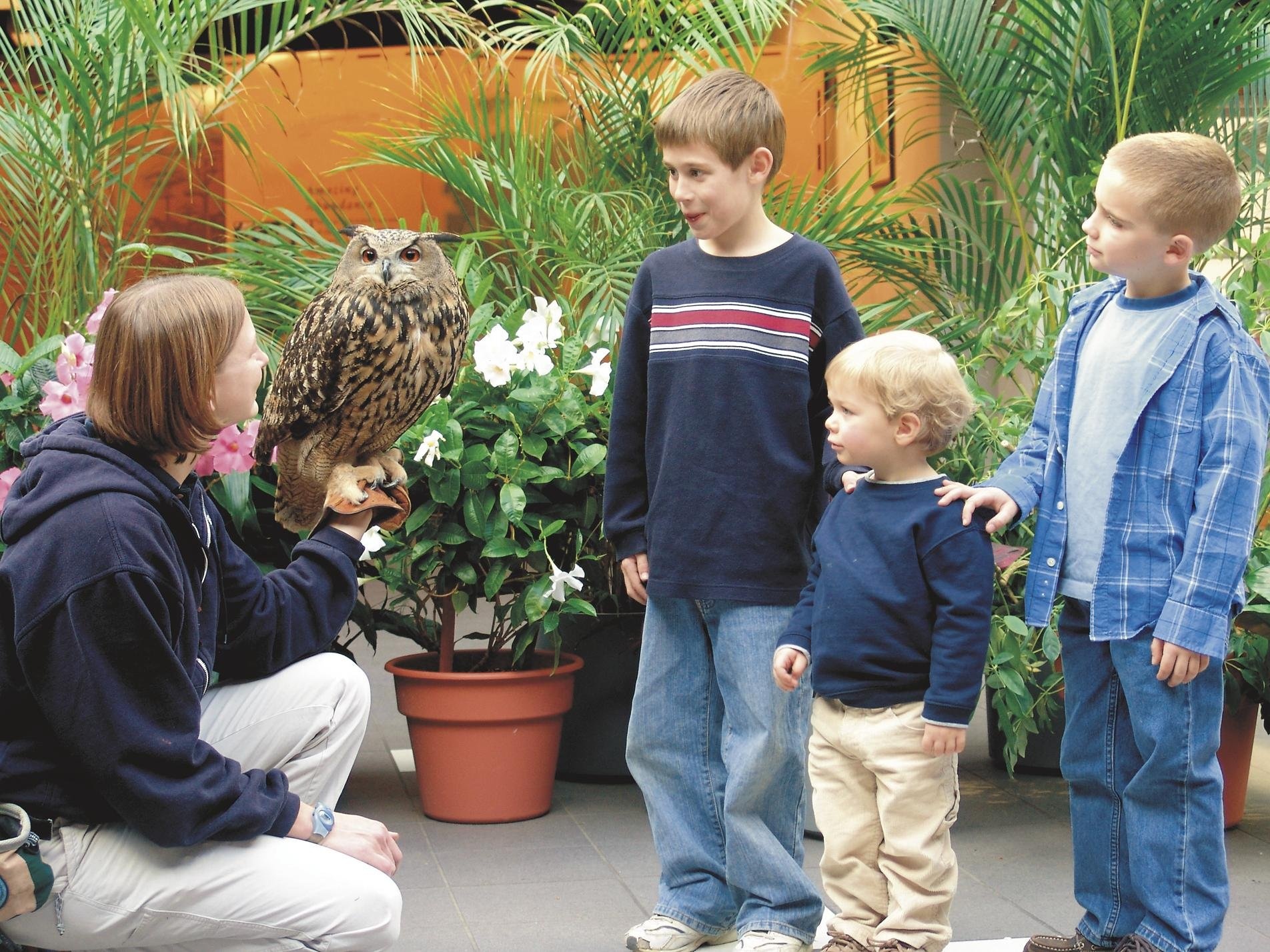 Recent Grants Highlights