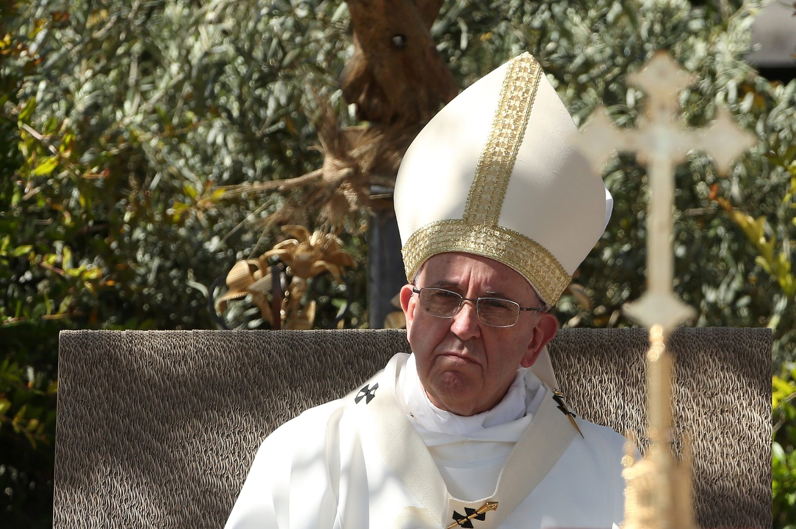 Environmental Groups Eagerly Anticipate Pope Francis’s Encyclical