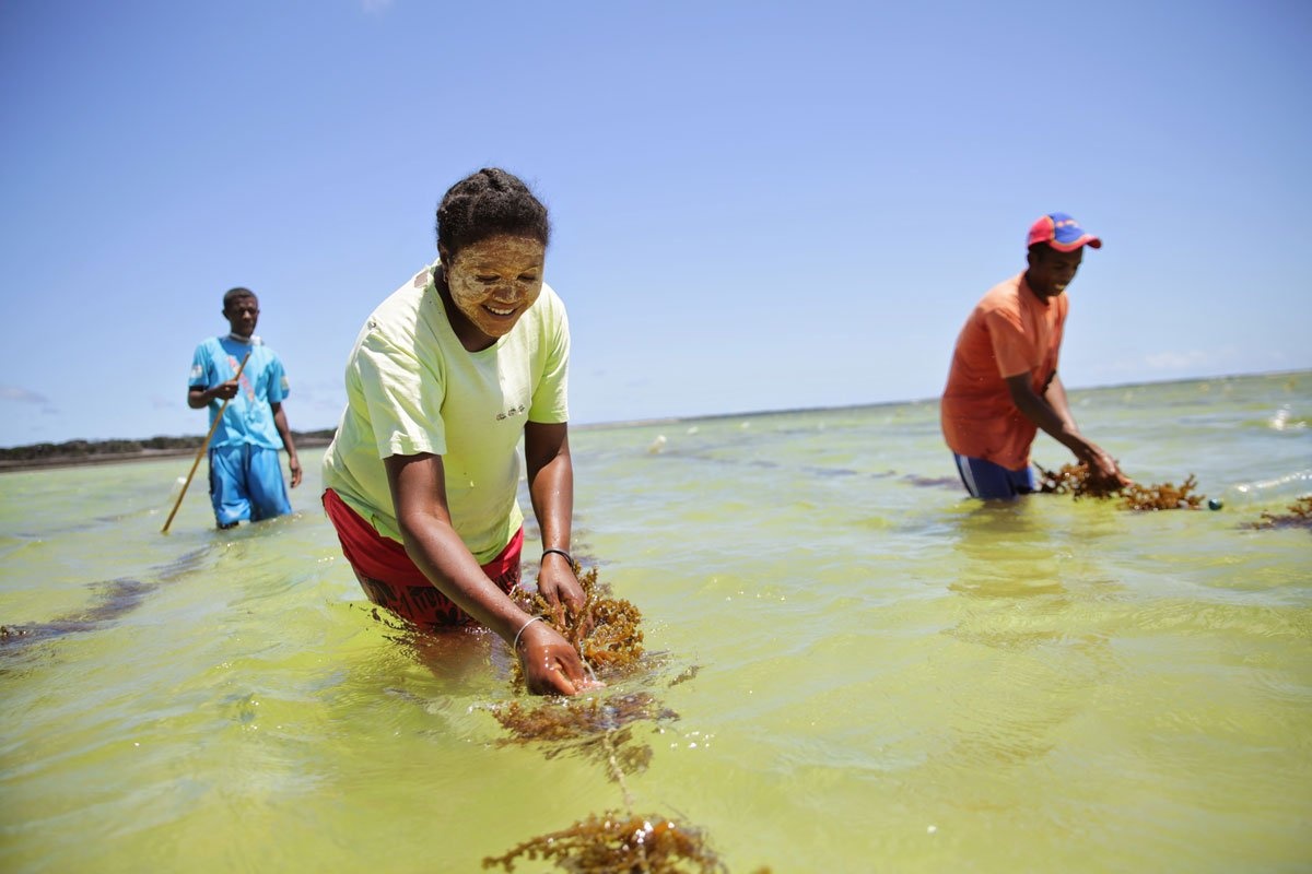 4 Nonprofits Receive $1.25 Million Skoll Awards