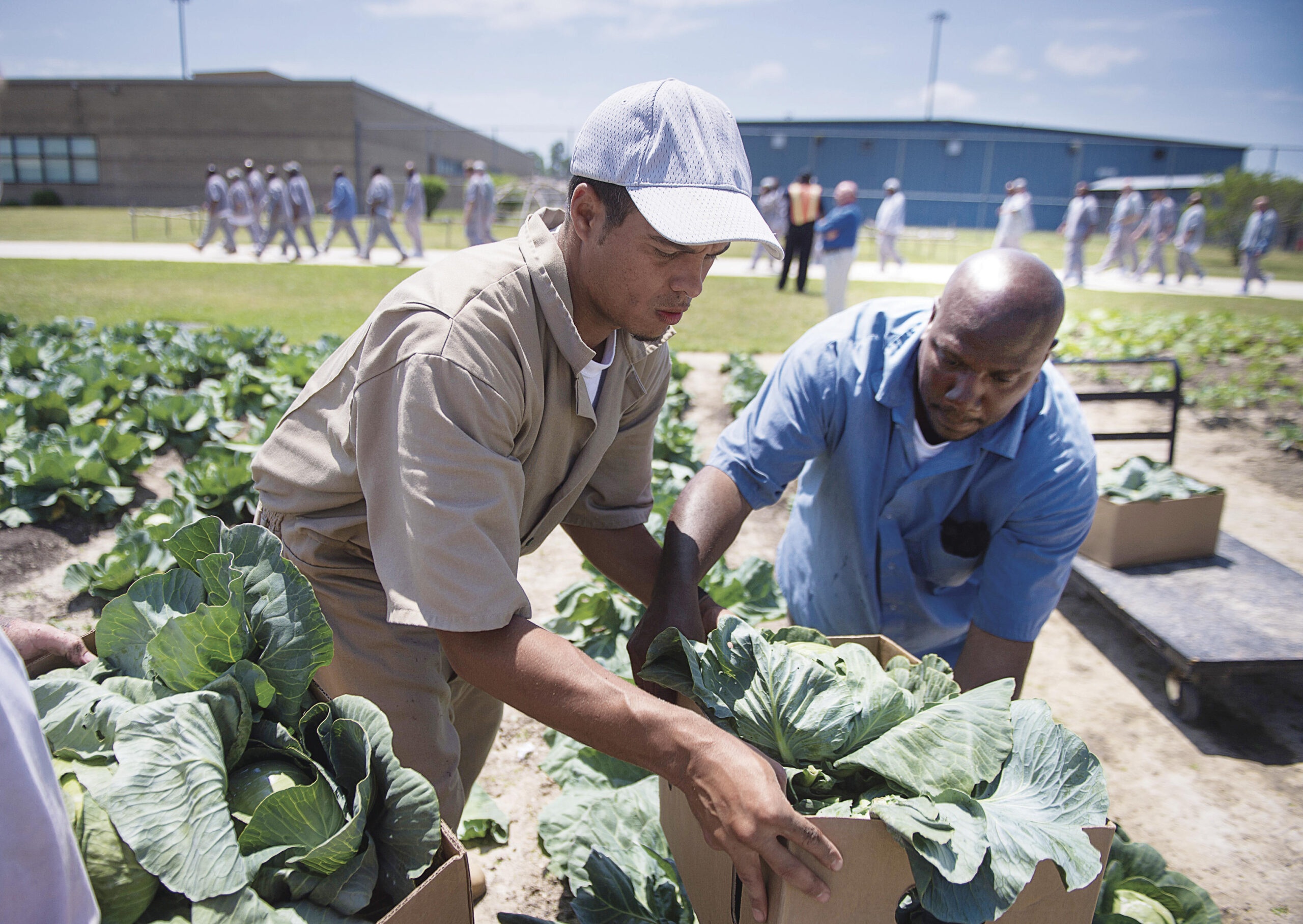 Blooms Behind Bars: Making Prisons  More Humane