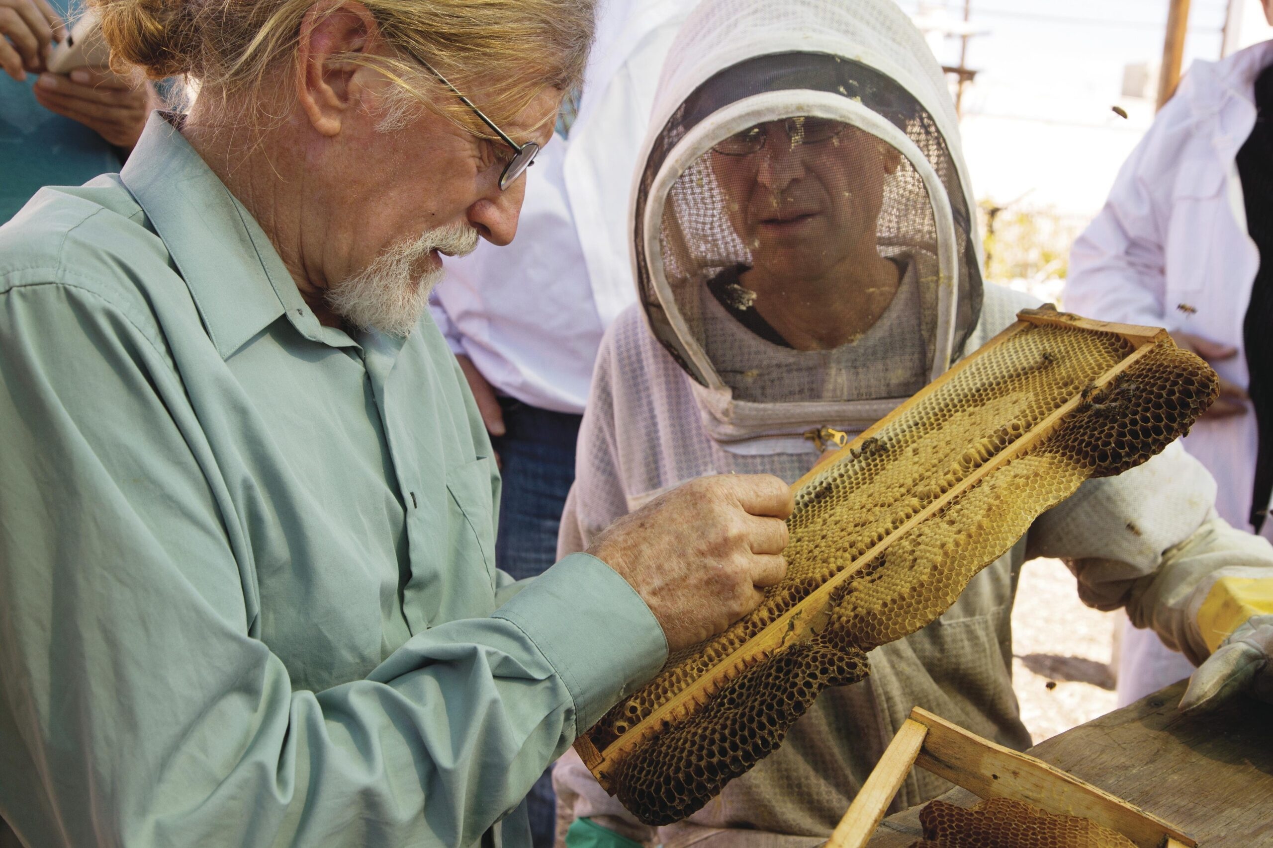 Calif. Nonprofit Teaches City Dwellers How to Be Backyard Beekeepers