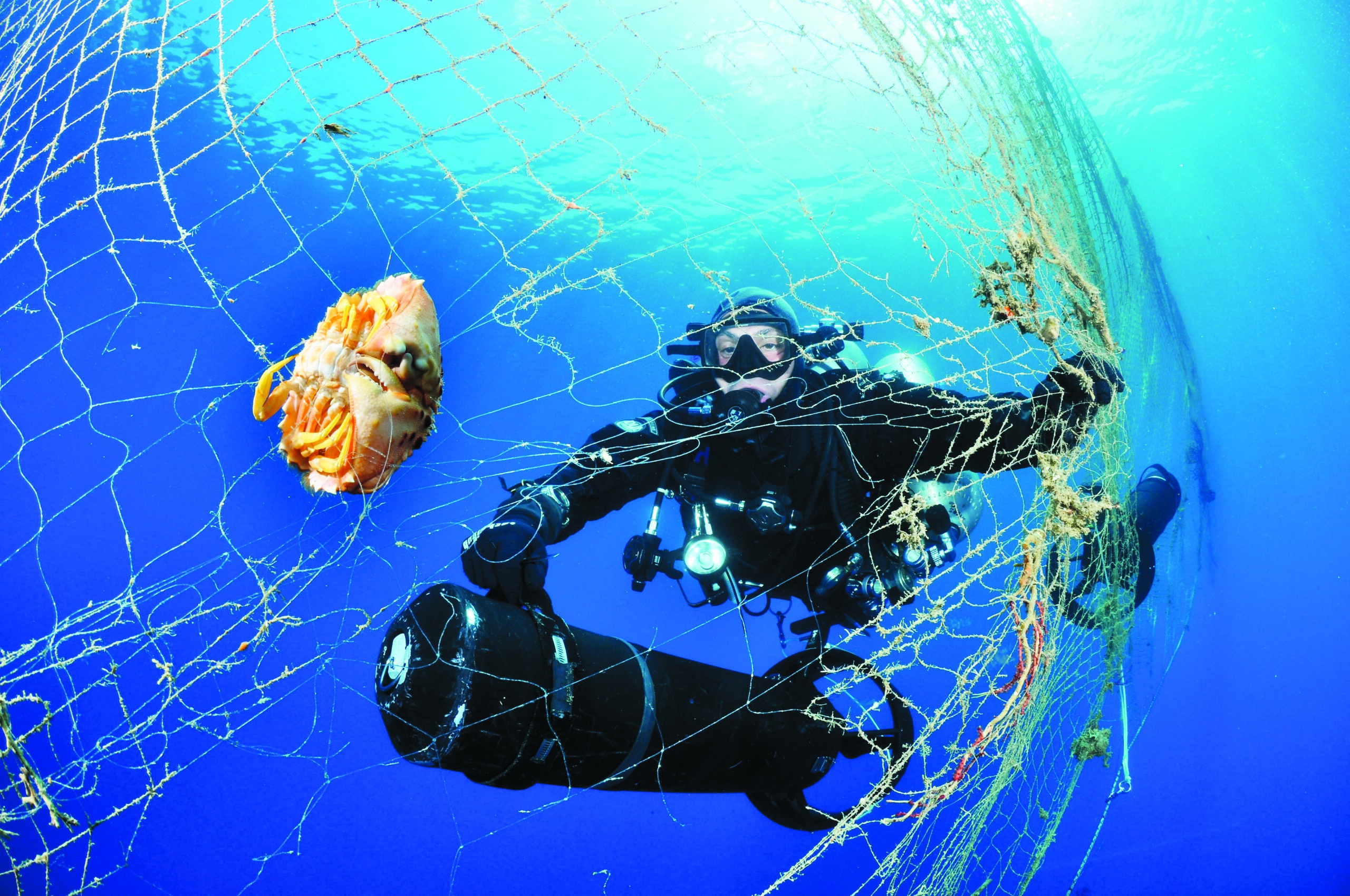 Volunteer Divers Scour the Ocean to Remove Old Nets That Kill Fish
