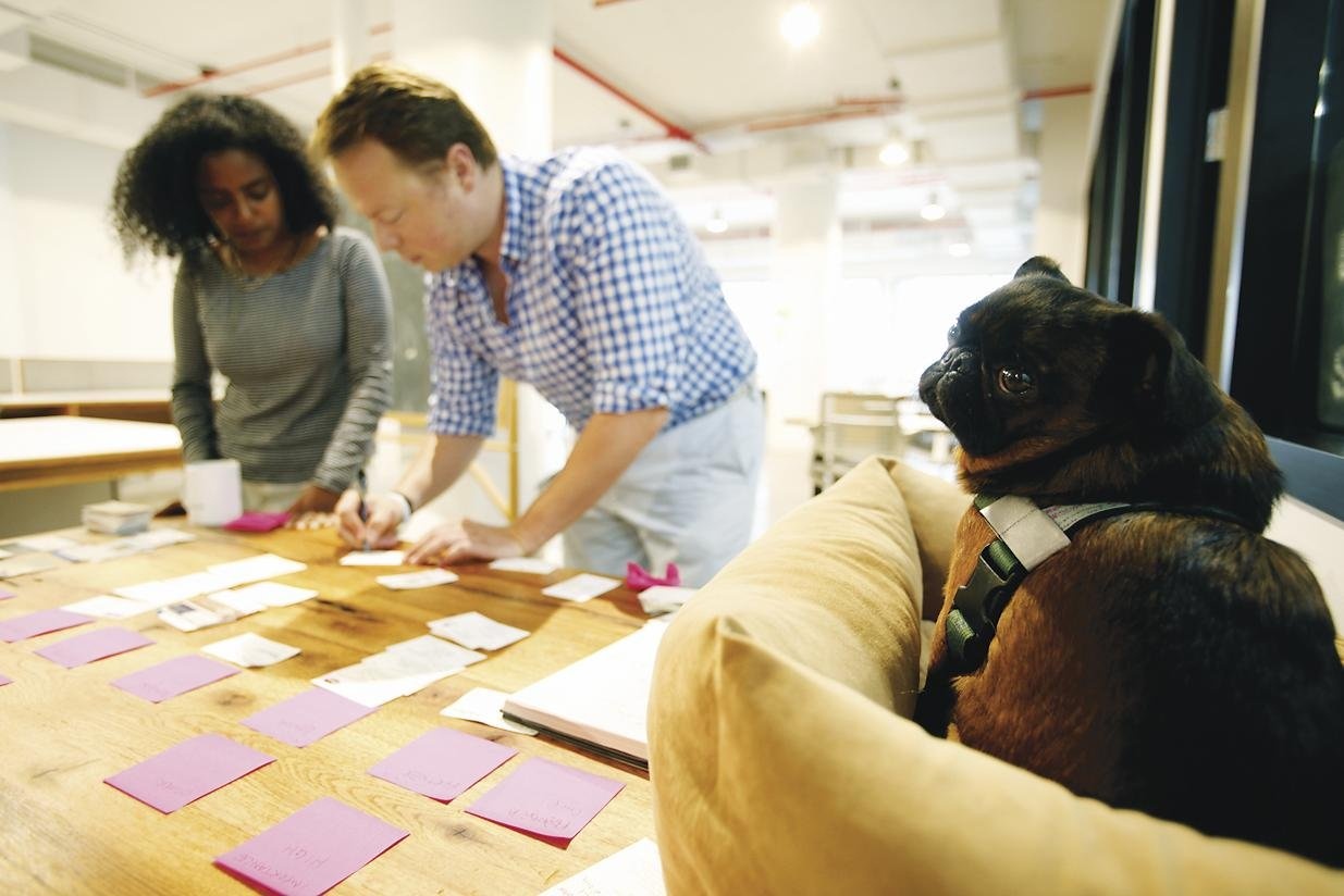 How the Centre for Social Innovation Ended Up in New York