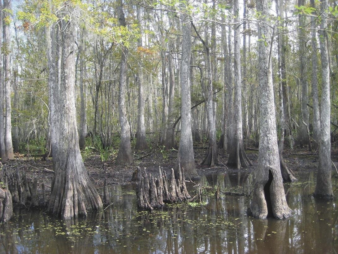 Low-Interest Loans Make Up for Grant Cuts