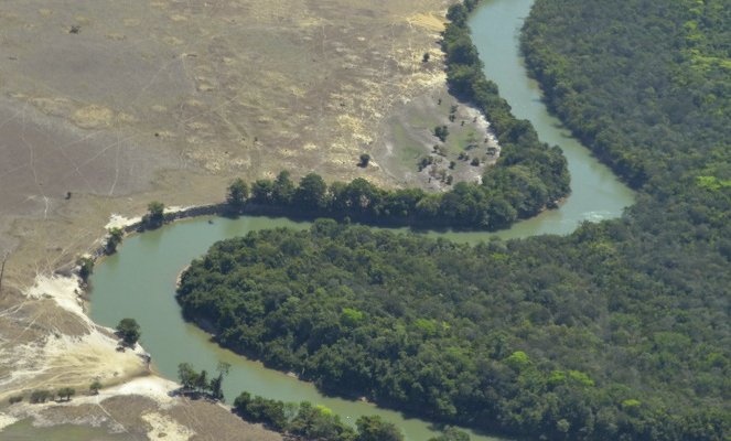 Foundation Pledges $90 Million to Push Incentives for Conservation