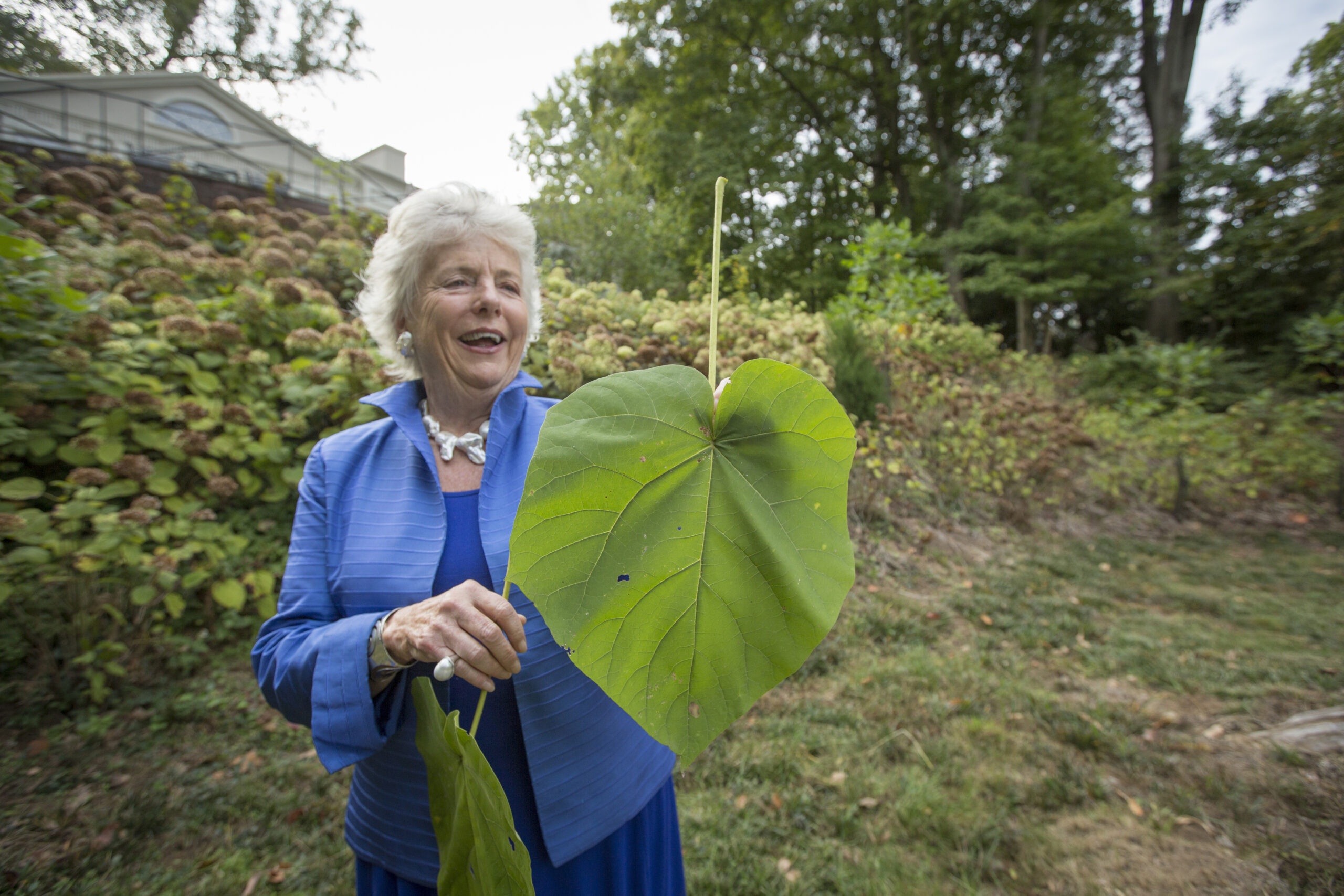 Christina Lee Brown Gives $30 Million to New U. of Louisville Health Campus