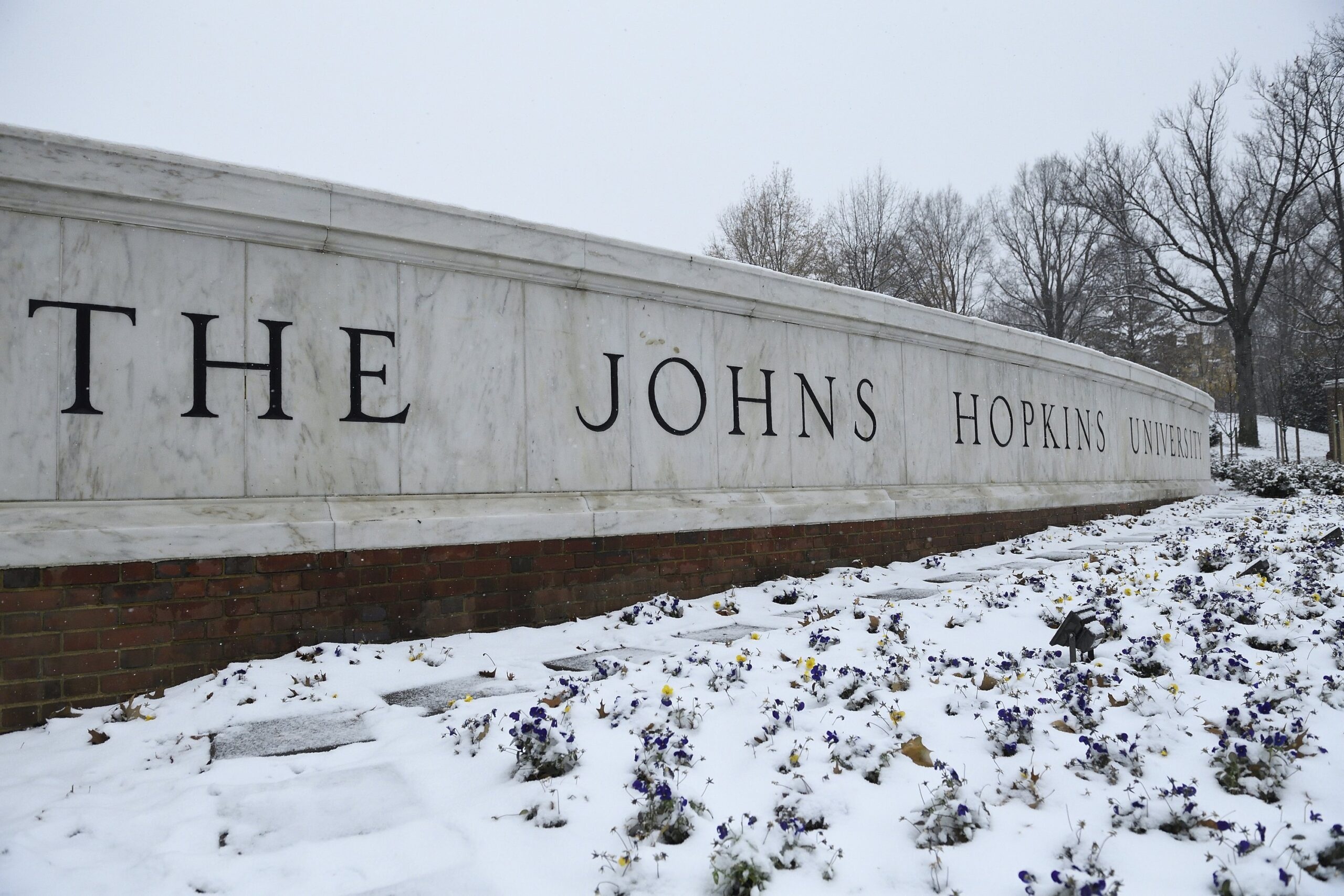 University Gifts of $10 Million or More Held Steady in 2018