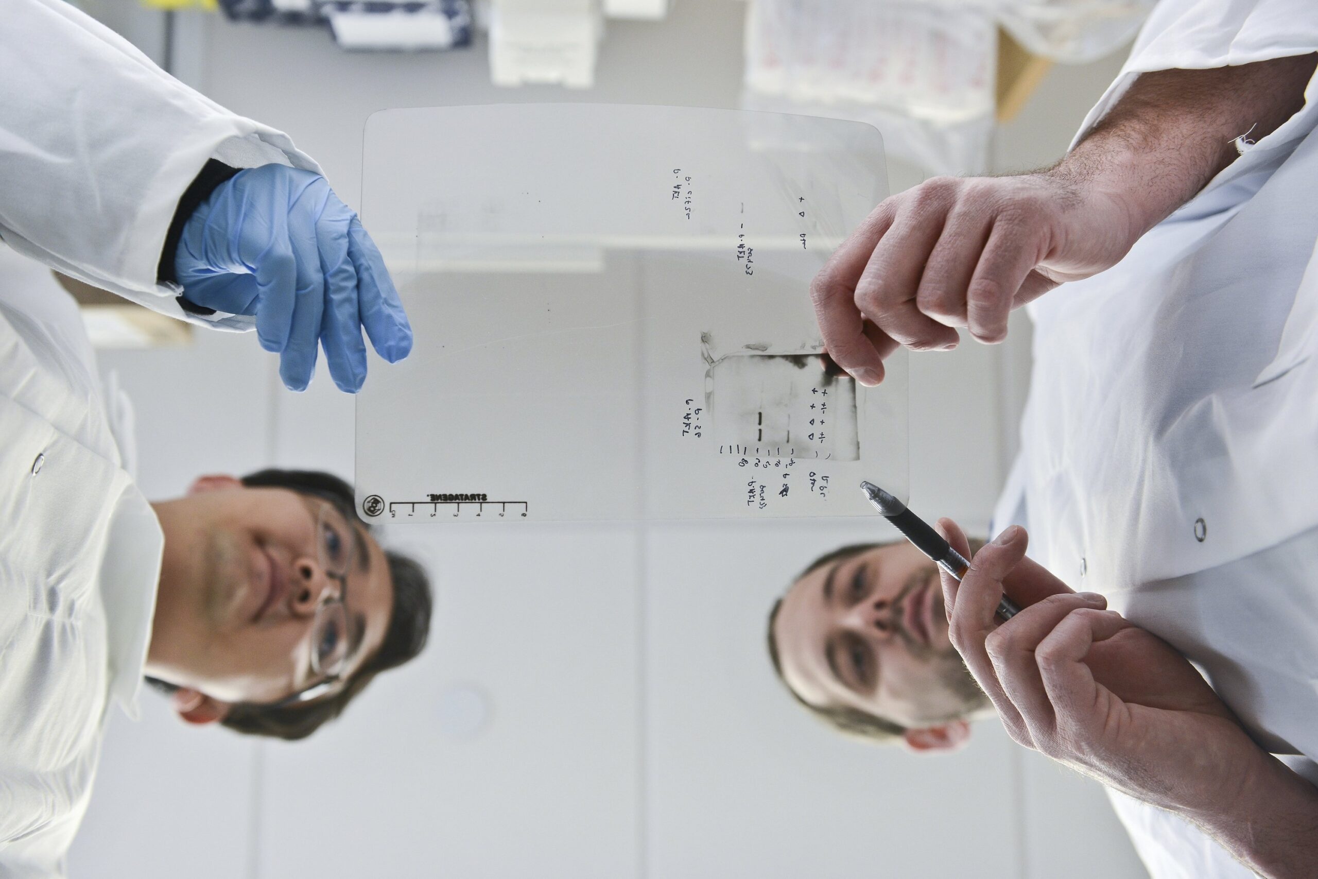 Grants Roundup: $12 Million From Moody Foundation for Children’s Medical Research