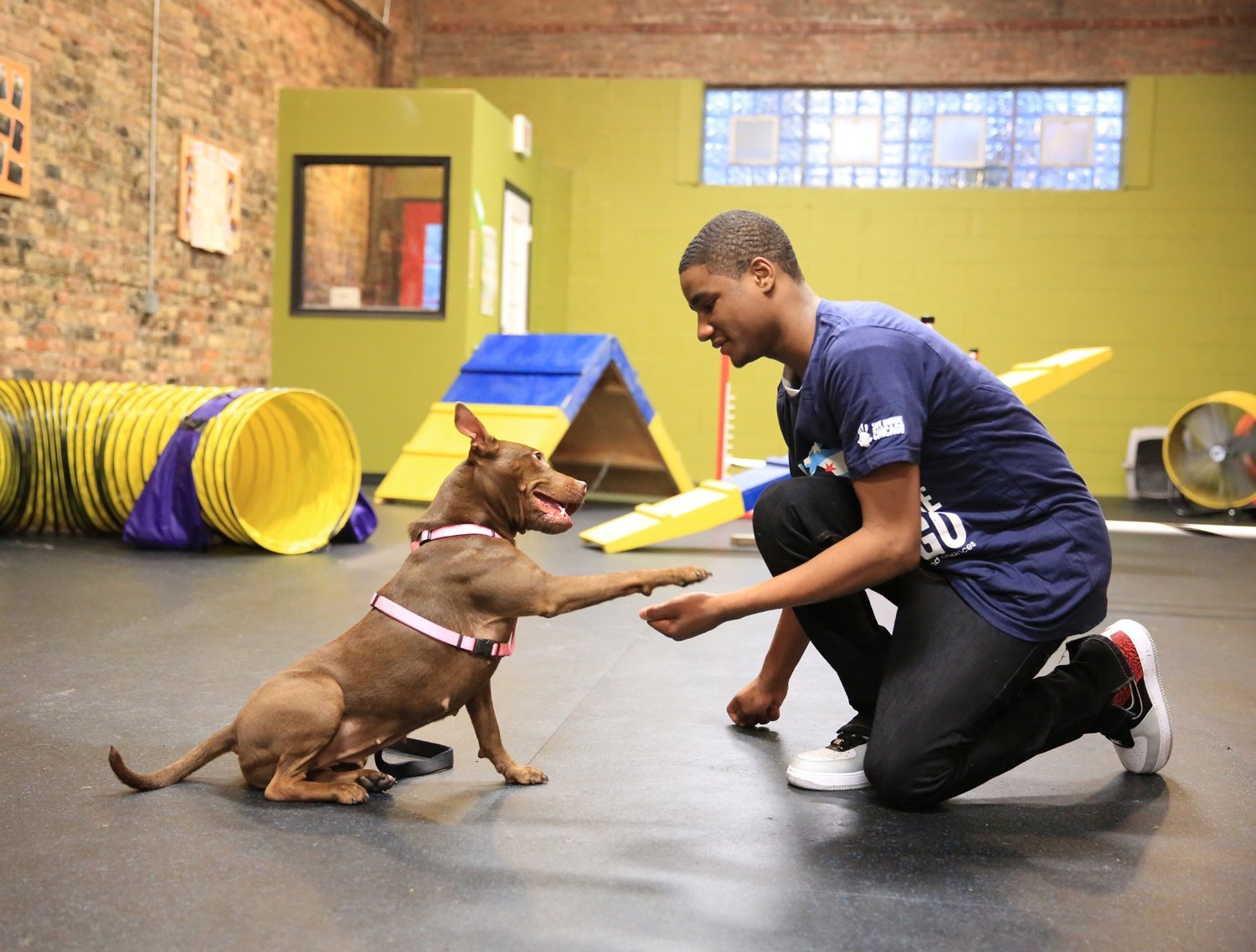 Training Abused Dogs Teaches Youths Skills and Self-Confidence