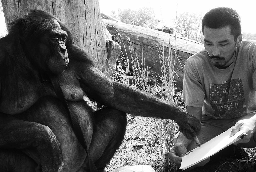 Art for Apes’ Sake