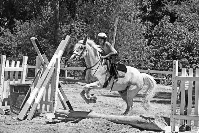 Urban Cowboys (and Girls)