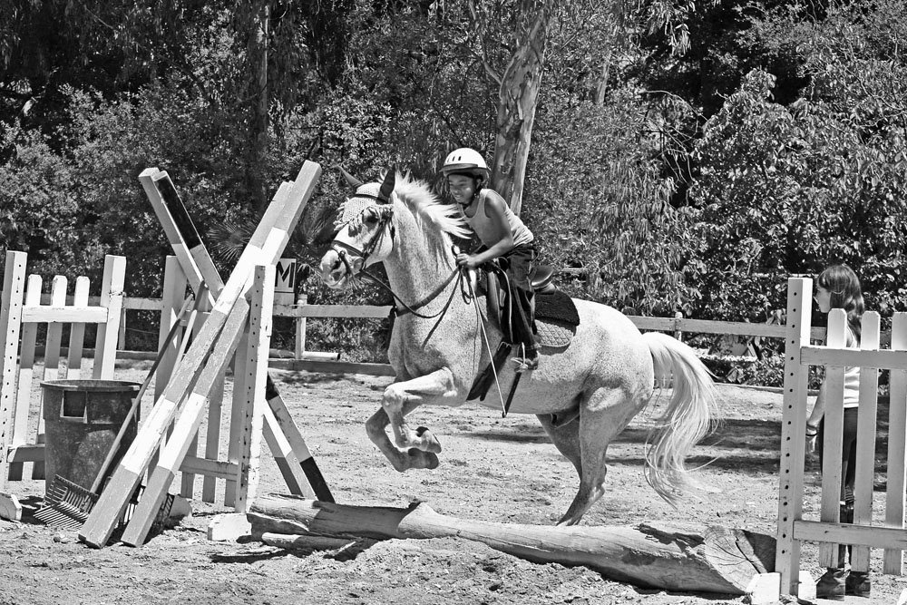 Urban Cowboys (and Girls)