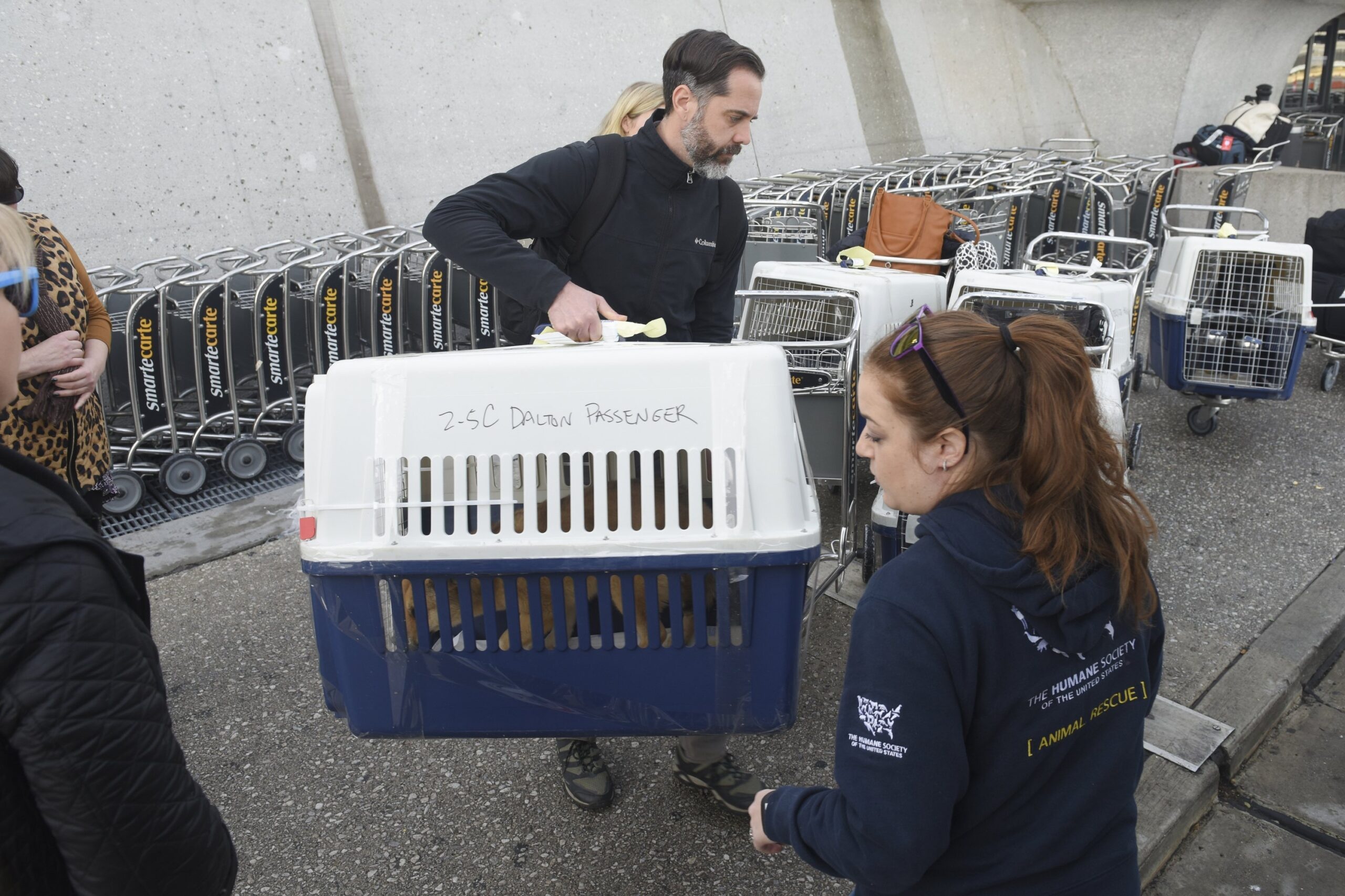 Opinion: Why I Returned to the Board of the Humane Society of the United States