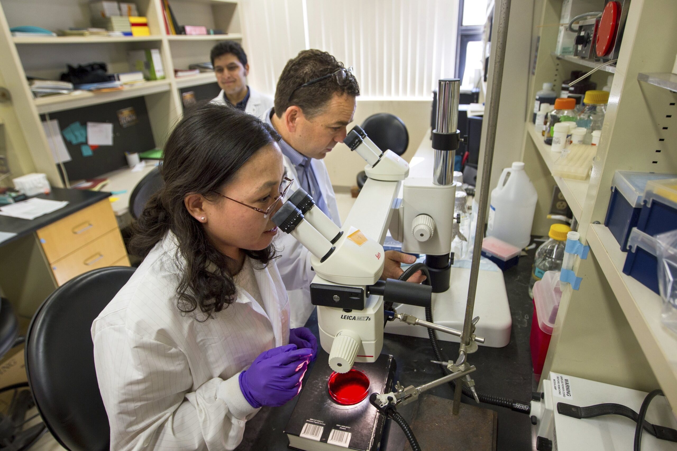 Gifts Roundup: Brown U. Gets $100 Million Donation for Brain Research