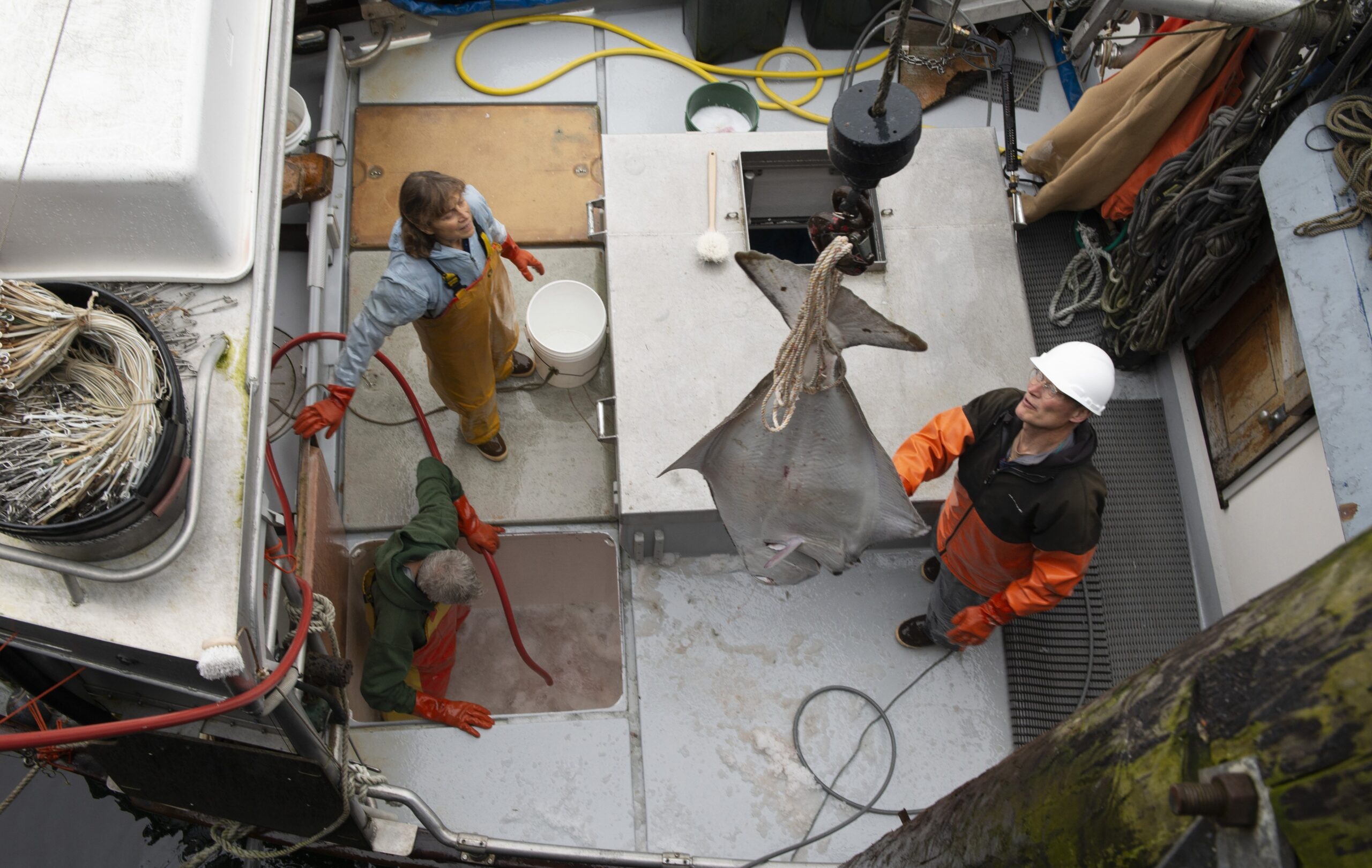 Alaskan Association Uses Science to Promote Sustainable Fisheries and a Way of Life