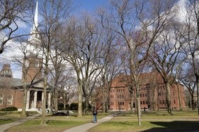 Charities Suffer From a Wealth Gap, Too