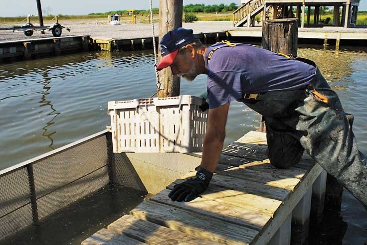 A Grant Maker Pulls La.’s Coast Together to Fight Erosion