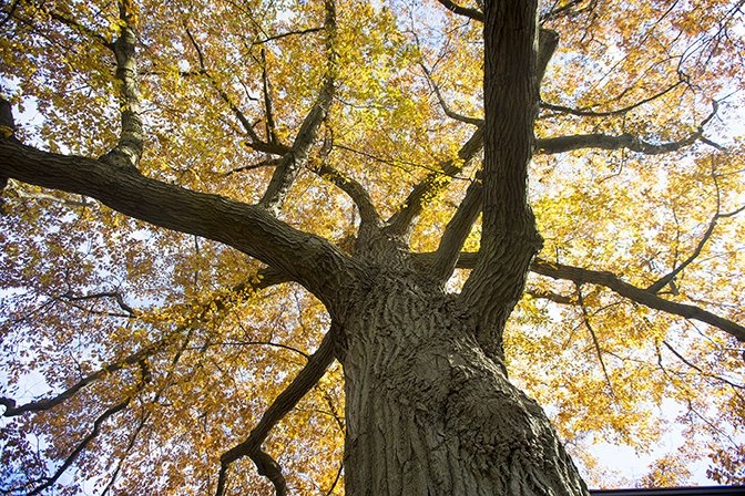 How to Persuade Grant Makers Your Program Is Sustainable