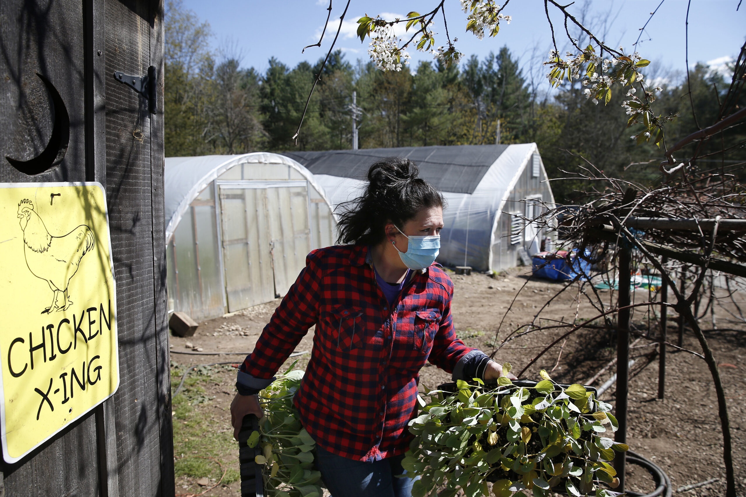 Gates Awards $122 Million to Test HIV Prevention Drug; Zoetis Fund Gives $35 Million to Farmers and Veterinarians