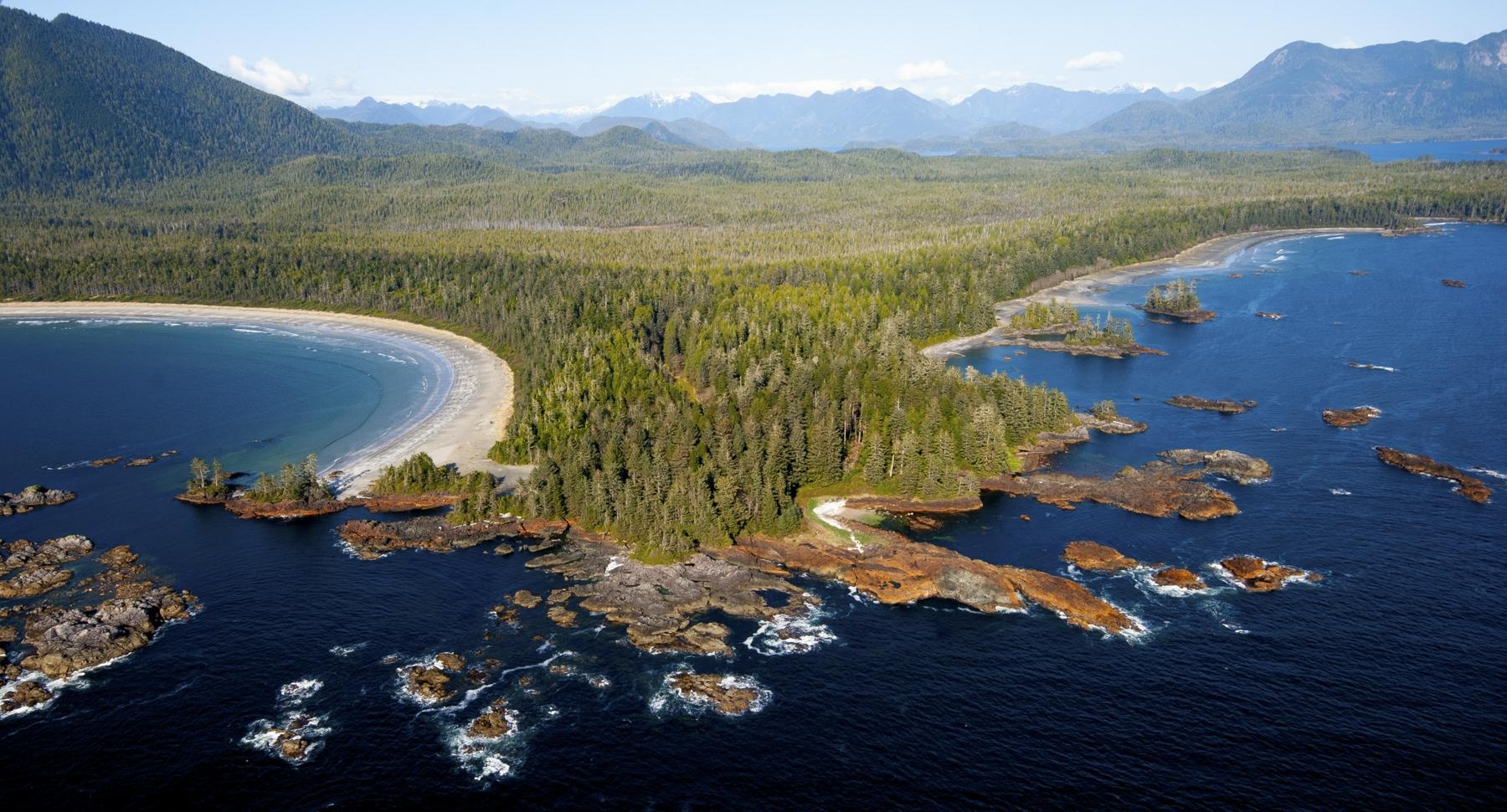 Jeff Bezos’s Earth Fund Awards $791 Million in First Round of Climate Grants