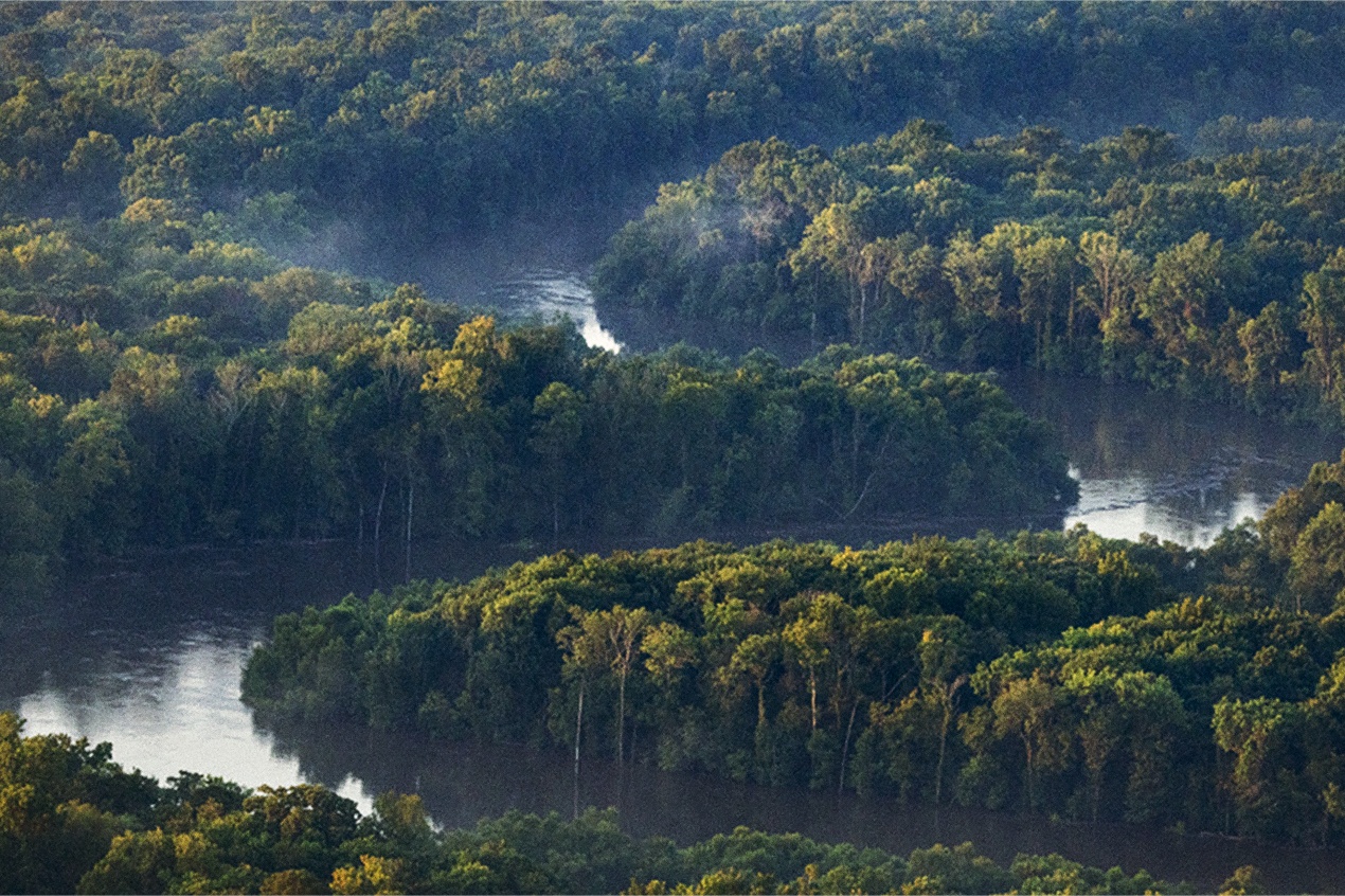 Walmart Commits $34.5 Million to Protect U.S. Wildlife Habitats