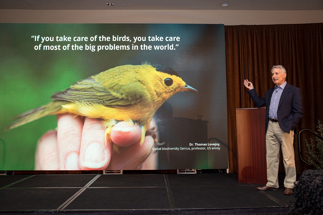 A 10-Point Guide for Improving Your Board Meeting Through Excellent Presentations