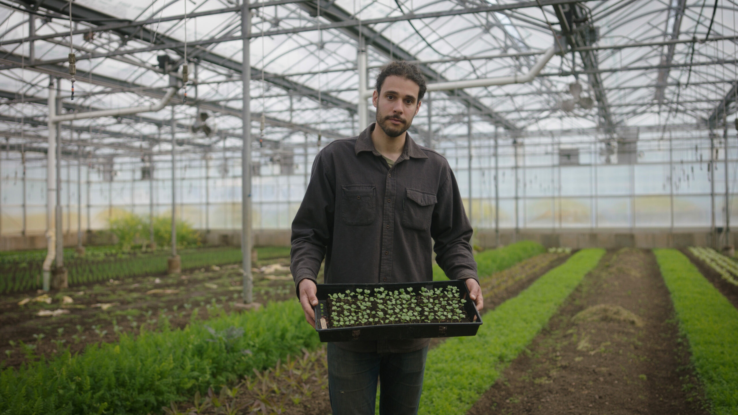 Rockefeller Foundation Launches Ambitious $105 Million Effort to Produce Healthy, Climate-Friendly Food