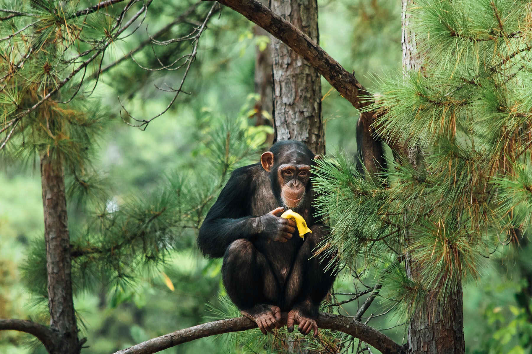 GivingTuesday Generates Estimated $2.47 Billion From Donors