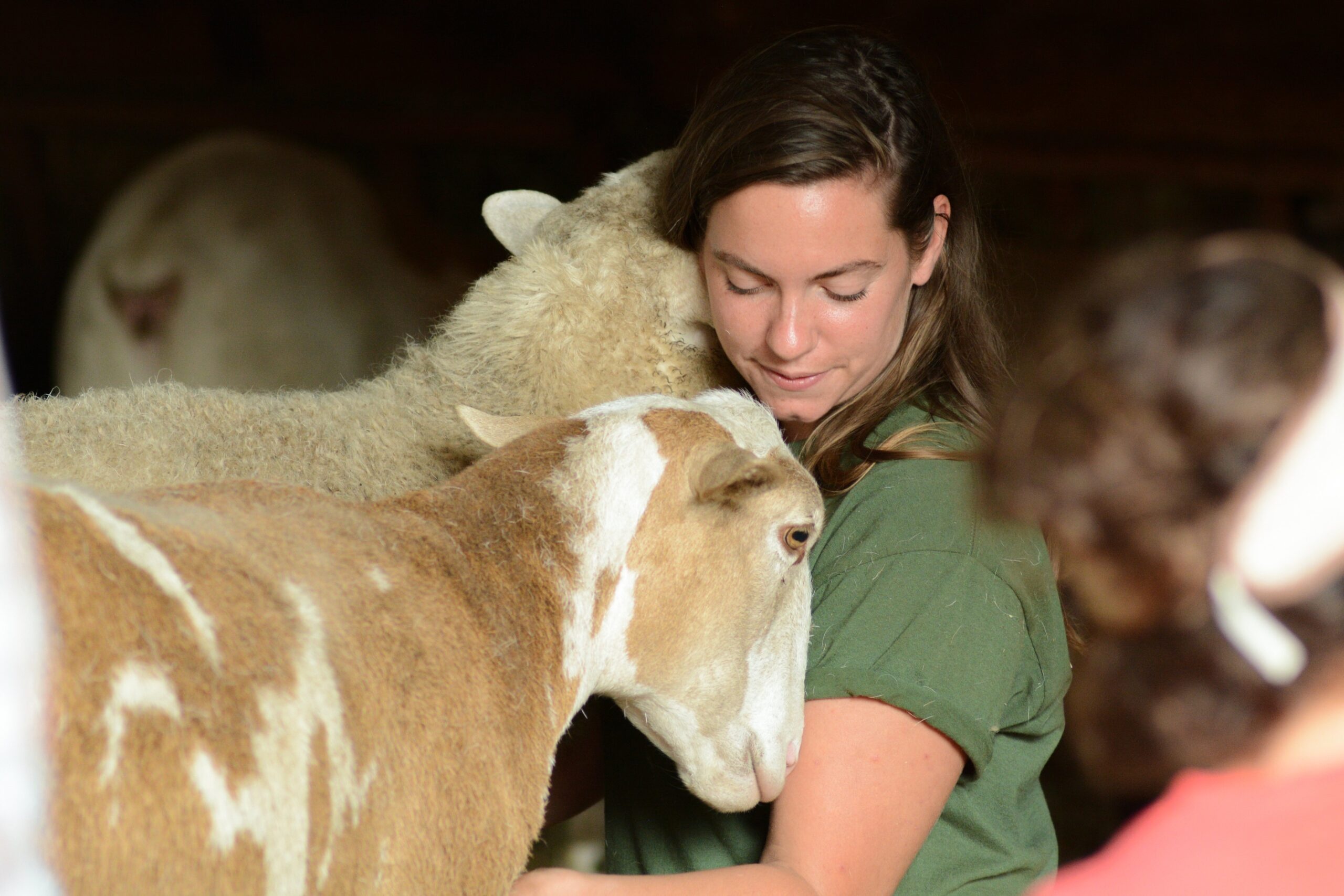 Crises Shape Charities’ GivingTuesday Appeals