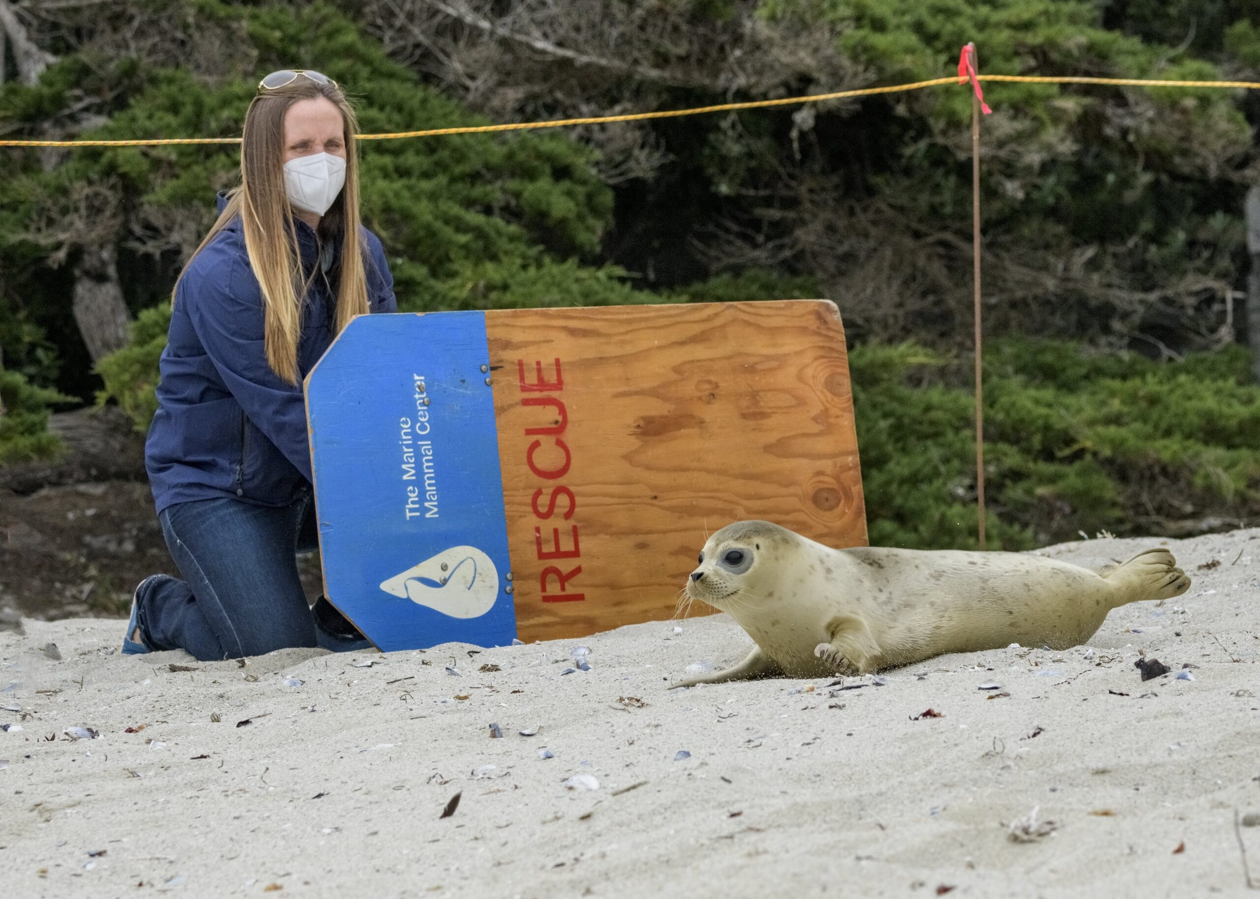 Year-End Fundraising Results Were Mixed. Digital Outreach Was Critical.