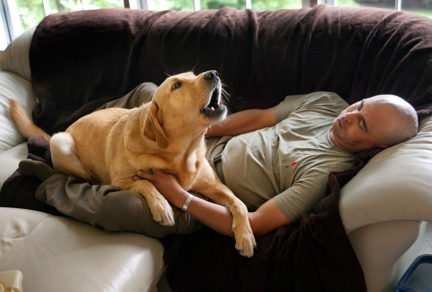 A Nonprofit Matches Military Veterans With Canine Helpers