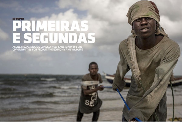 Strength in Storytelling